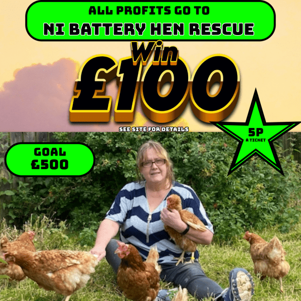 £100 cash ni rescue charity
