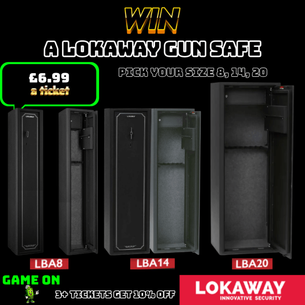 Lokaway Safe