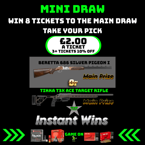 Mini Draw