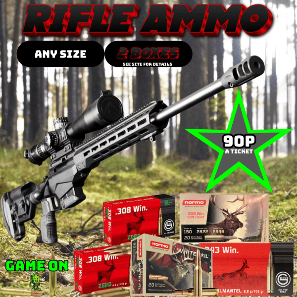 Rifle ammo 2 boxes